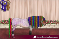 Horse Color:Painted Bay Roan