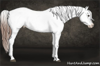 Horse Color:Black Varnish Rabicano 