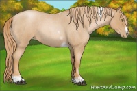 Horse Color:Red Roan Pearl Tobiano Frame