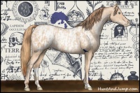 Horse Color:Sable Champagne Pearl Rabicano  and Gold Champagne Pearl Blanket Rabicano 