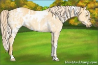 Horse Color:White Spotted Palomino Ice 