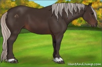 Horse Color:Silver Brown 