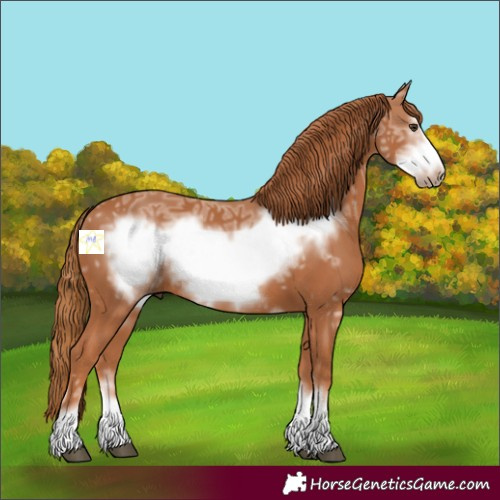 Horse Color:Chestnut Ice Frame