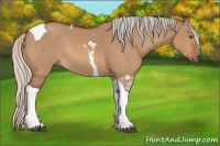 Horse Color:Silver Bay Dun Tobiano Rabicano 