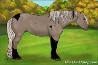 Horse Color:Void Silver Grullo Tobiano