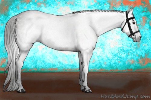 Horse Color:Gray Grullo 