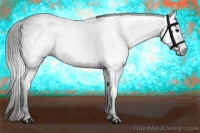 Horse Color:Gray Grullo