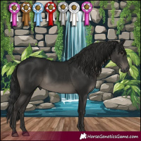 Horse Color:Gray Black 