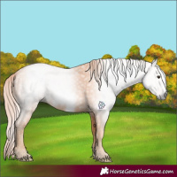 Horse Color:Gray Watercolor Chestnut Frame