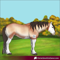 Horse Color:Bay Roan Onyx Splash 