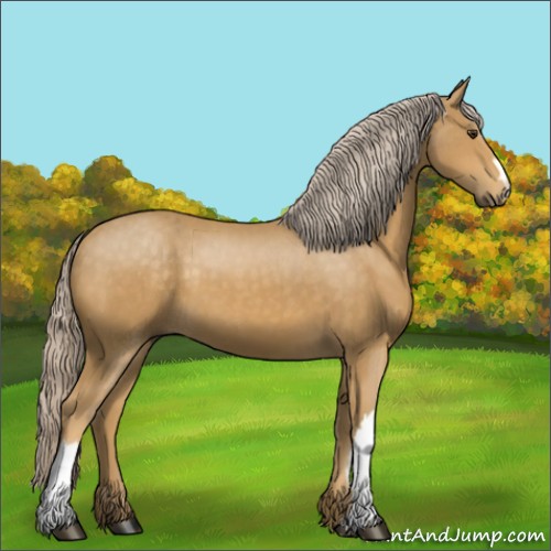 Horse Color:Palomino 