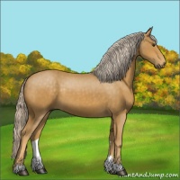 Horse Color:Palomino
