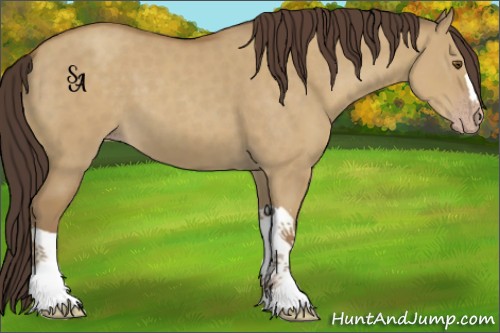 Horse Color:Classic Cream Champagne Dun 