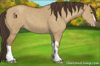 Horse Color:Classic Cream Champagne Dun