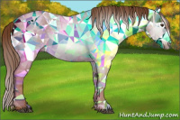 Horse Color:Gray Red Roan Appaloosa 