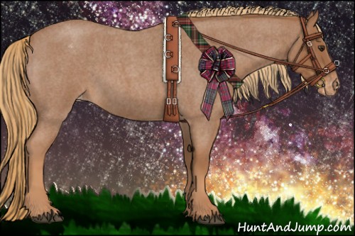 Horse Color:Red Roan Appaloosa 