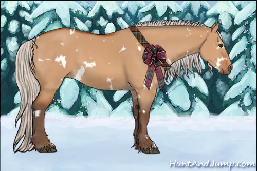 Horse Color:White Spotted Silver Bay Dun 