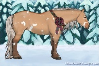 Horse Color:White Spotted Silver Bay Dun 