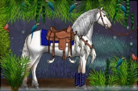 Horse Color:Gray Silver Bay Roan Dun 