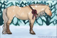 Horse Color:White Spotted Silver Bay Dun