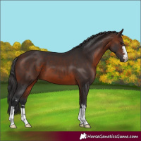 Horse Color:Brown 