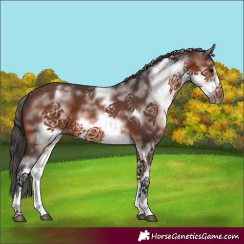 Horse Color:White Spotted Brown Frame 