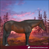 Horse Color:Brown 