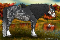 Horse Color:Black Splash