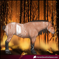 Horse Color:Bay Roan 