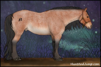 Horse Color:Bay Roan 