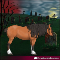 Horse Color:Bay Tobiano 