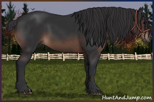 Horse Color:Brown 