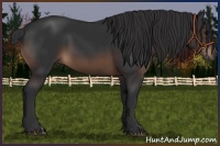 Horse Color:Brown 
