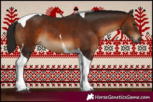 Horse Color:Gray Bay Tobiano 