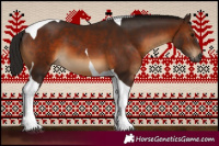 Horse Color:Gray Bay Tobiano 