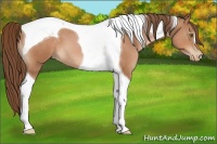 Horse Color:Brown Pearl Tobiano 