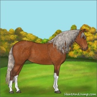Horse Color:Silver Buckskin Tobiano 