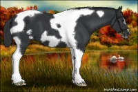 Horse Color:Black Tobiano Frame