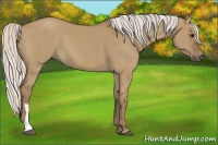Horse Color:Silver Smoky Grullo 