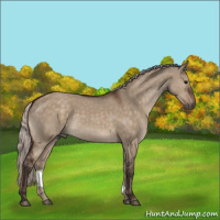 Horse Color:Silver Brown Dun