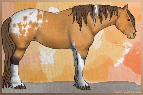 Horse Color:Buckskin Tobiano Blanket 