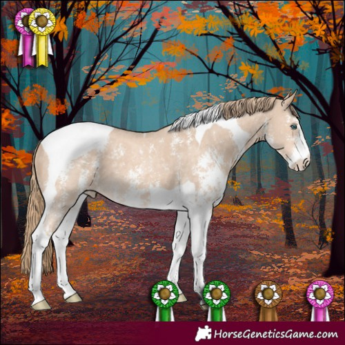 Horse Color:Perlino Sabino Tobiano 