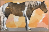 Horse Color:Chocolate Palomino Tobiano 
