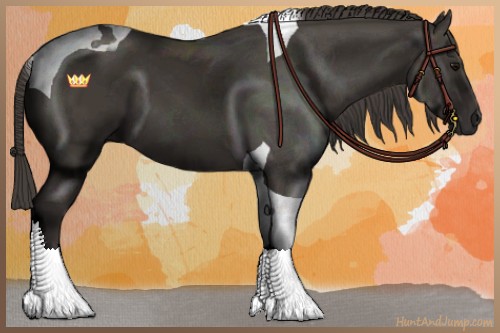 Horse Color:Smoky Black Tobiano