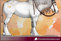 Horse Color:White Spotted Liver Chestnut 