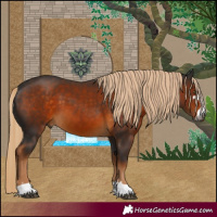 Horse Color:Gray Chocolate Palomino