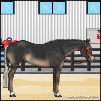 Horse Color:Liver Chestnut Mushroom 