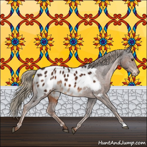 Horse Color:Liver Chestnut Appaloosa 