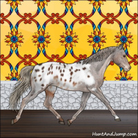 Horse Color:Liver Chestnut Appaloosa 