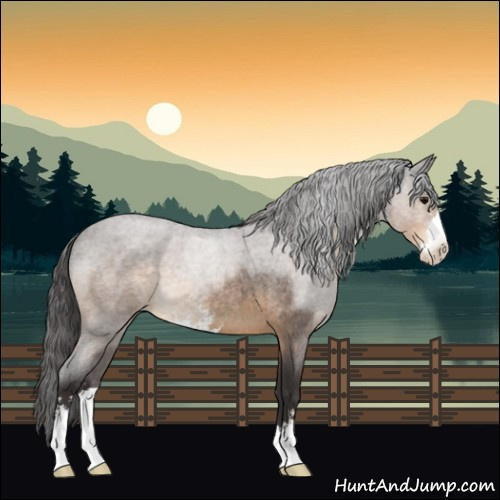 Horse Color:Buckskin Roan Mushroom Sabino 